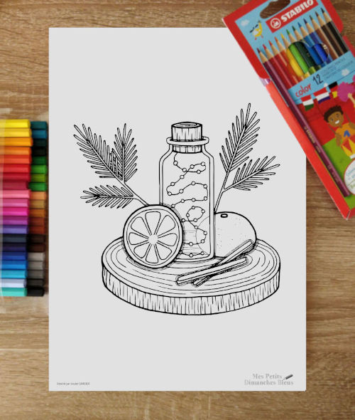 dessin représentant une fiole contenant des lumières, entourant de plantes évoquant l'hiver, offert sur les plateformes en janvier 2026