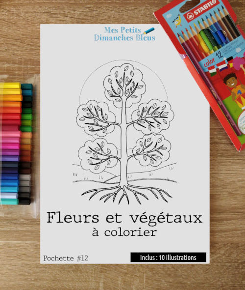 couverture de la Pochette #12 - Fleurs et végétaux à colorier
