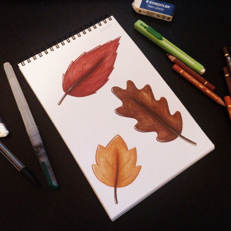 Feuilles d'automne dessinées aux crayons de couleurs