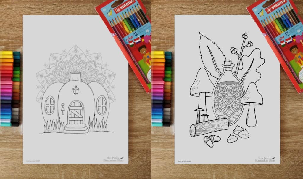 Coloriages de novembre, disponibles au téléchargement via la page Tipeee