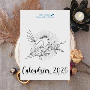 Calendrier 2026, une illustration à colorier par mois