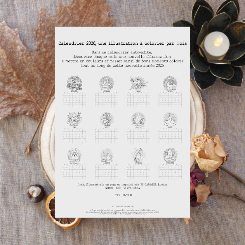 Photo des 12 illustrations du calendrier