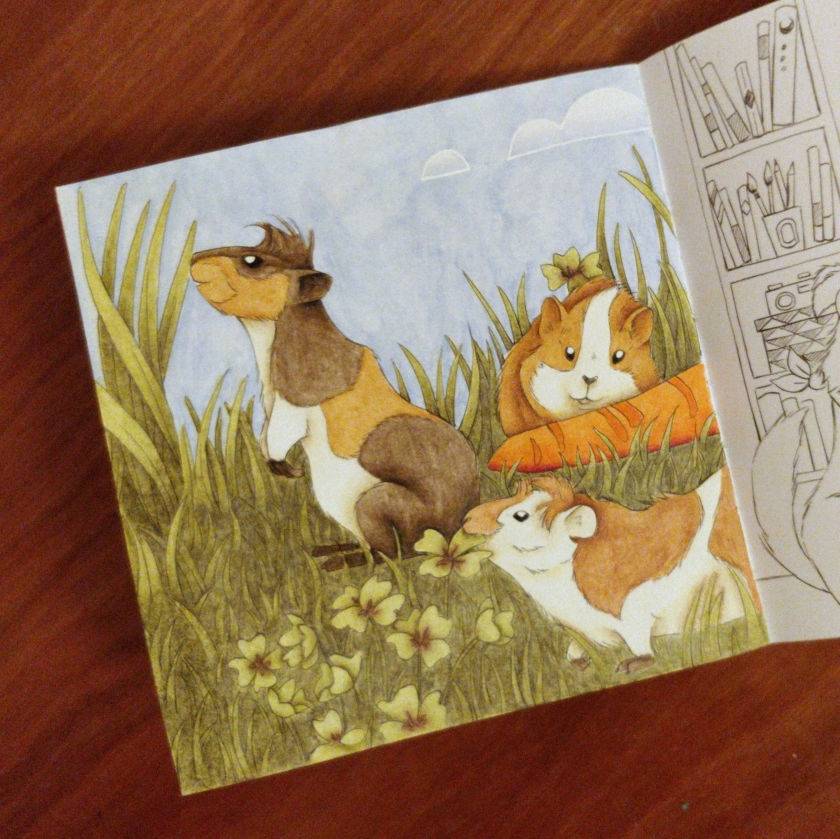 Coloriage dans le livre Boules de Poils illustré par Diane Dufour