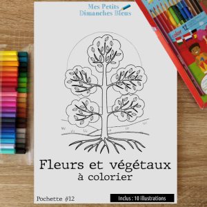 Coloriages - Fleurs et végétaux à colorier - Pochette #12